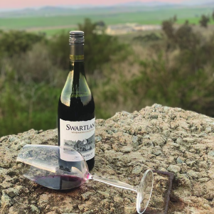 Wine of the Month Club